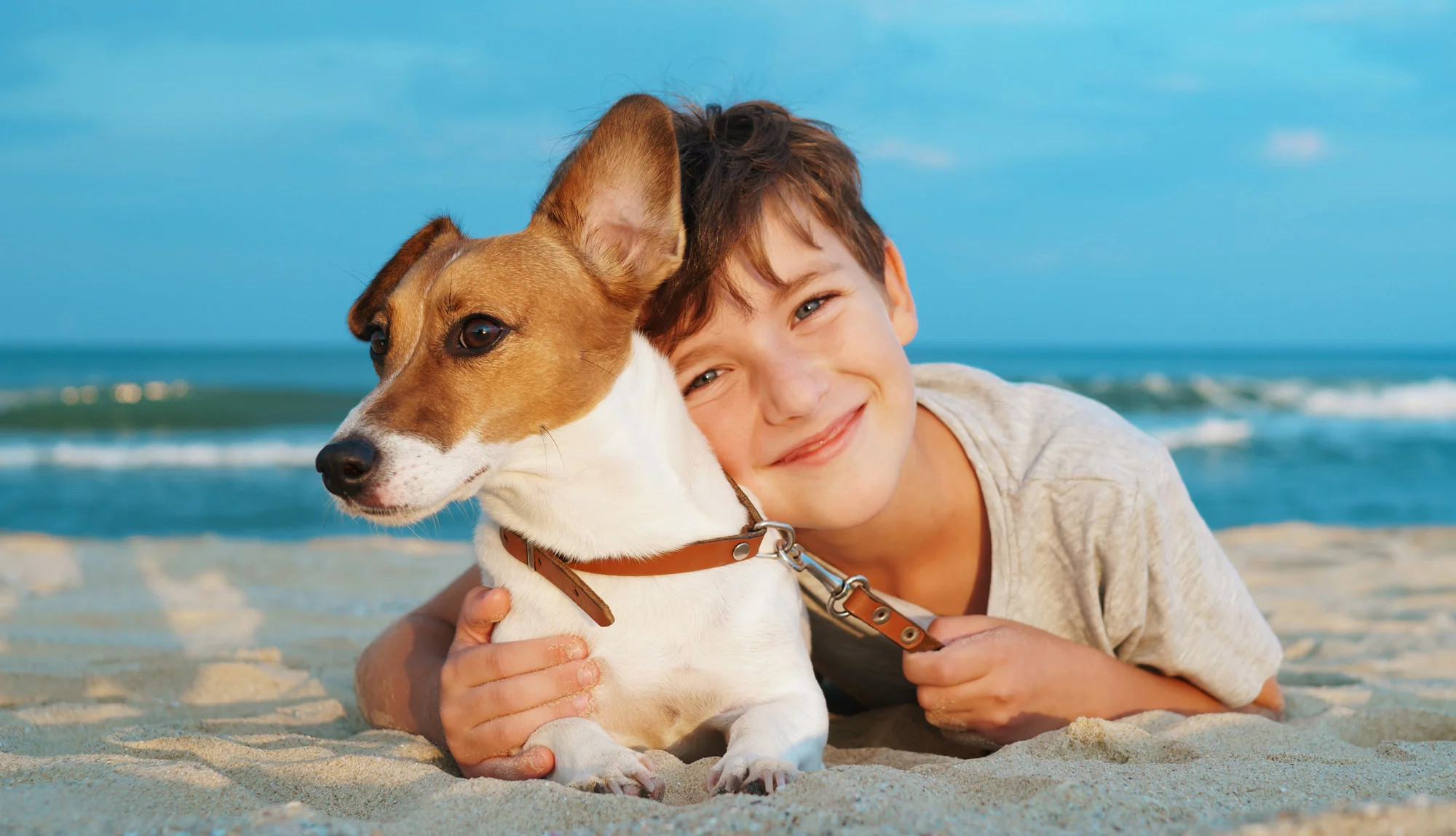 media.Slide-Servizi_1Hotel-Numi-Rimini